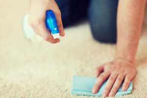Read more about the article 4 Reasons to Have Your Carpet Cleaned Regularly